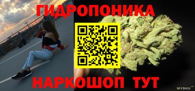 кокс Гудермес