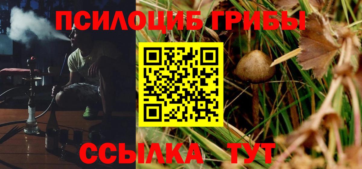 Галлюциногенные грибы GOLDEN TEACHER  Вход с VPN  Дзержинский 